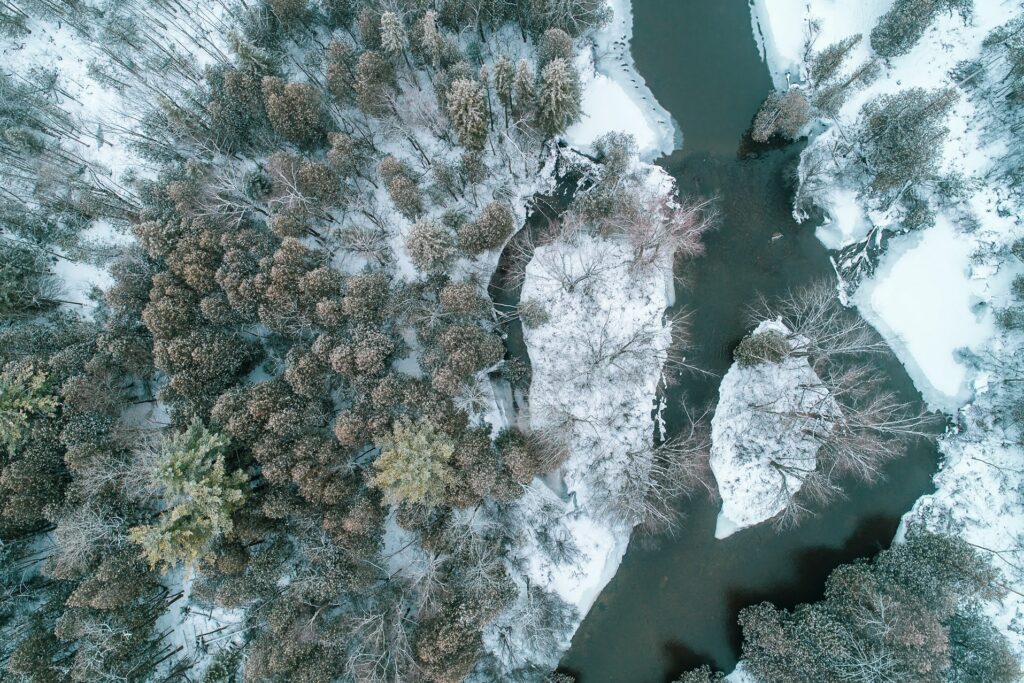 View of the river and forest from above in the winter